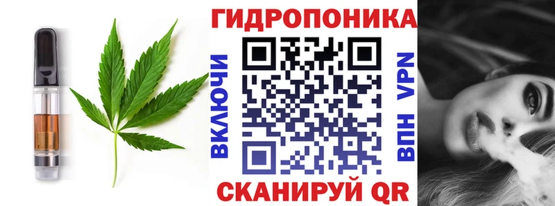 Cannafood марихуана  площадка телеграм  Урус-Мартан  МЕГА как зайти 