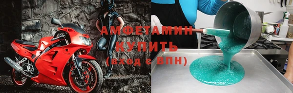 индика Березники