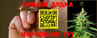 ГАЛЛЮЦИНОГЕННЫЕ ГРИБЫ Камышлов