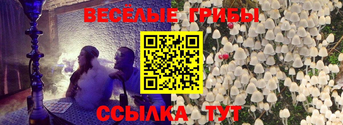 Галлюциногенные грибы Magic Shrooms Урус-Мартан