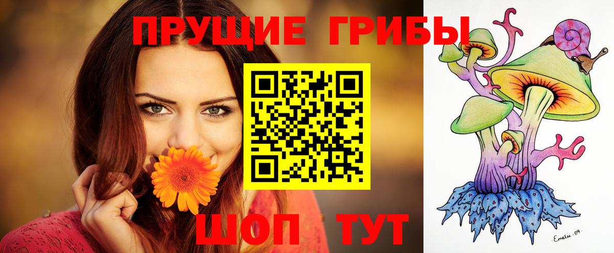 Галлюциногенные грибы ЛСД  Вход с VPN  наркотики  Урус-Мартан  Псилоцибиновые грибы Magic Shrooms 